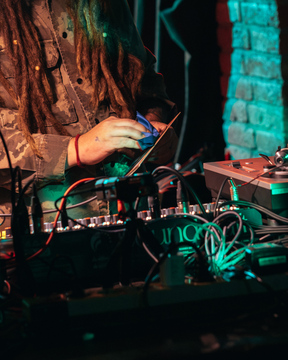 roots_in_the_woods (4)